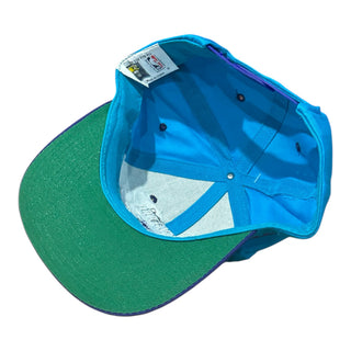 90s Charlotte Hornets SnapBack
