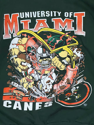 90s Hurricanes Football Smash Crewneck size L