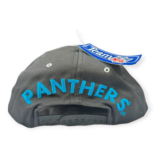 Carolina Panthers SnapBack Hat