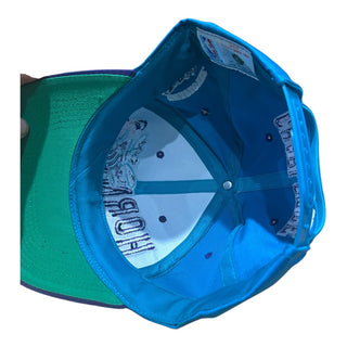 Charlotte Hornets Wave Snapback