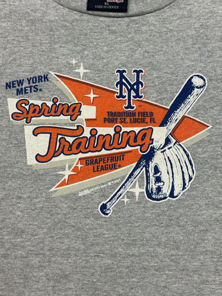 2007 Mets Spring Training Tshirt size XL