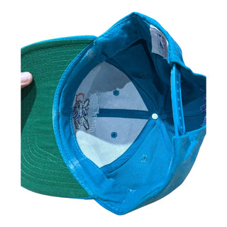 Charolotte Hornets Plain Logo Back Text Snapback