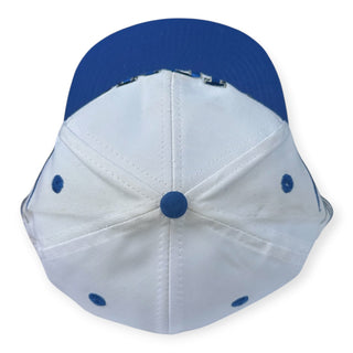 Detriot Lions Diamond Cut SnapBack