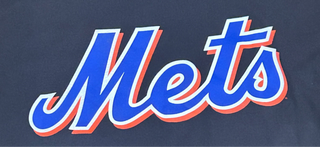 New York Mets Pedro Martinez Jersey Tshirt Sz XXL