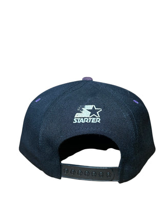 Anahiem Mighty Ducks Tri Power Snapback