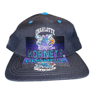 Charlotte Hornets Mirror Image Snapback