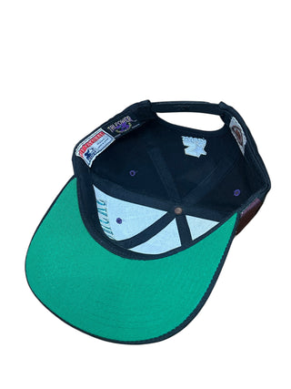 Anahiem Mighty Ducks Tri Power Snapback