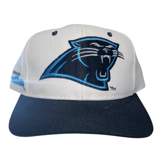 Charlotte Panthers Side Script Snapback