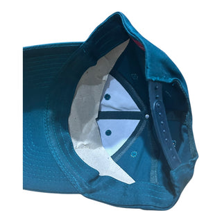 Philadelphia Eagles Plain Logo Snapback