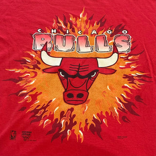 Chicago Bulls FireBall Tshirt Sz L (MTS6)