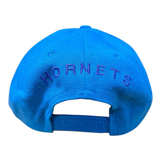 Charolotte Hornets Plain Logo Back Text Snapback