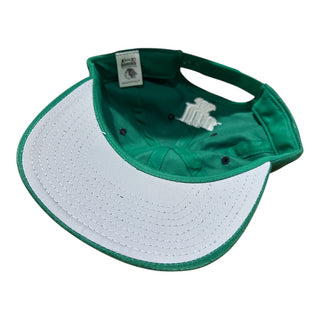 Chicago Blackhawks Plain Logo Dad Hat