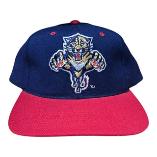 Florida Panthers Blockhead Snapback