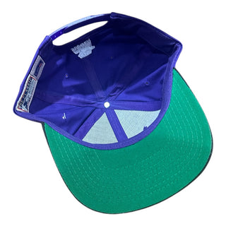 St. Louis Stallions Starter SnapBack