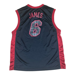 Miami Heat LeBron James Argyle Print Jersey size Largs