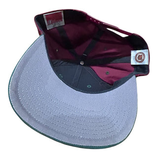 Pheonix Coyotes Plain Logo Snapback