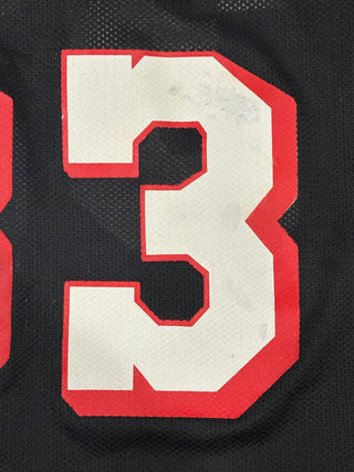 Heat Alonzo Mourning Jersey size 44/L