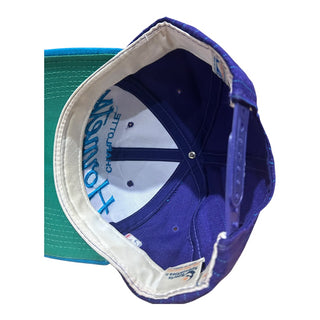 Charlotte Hornets Pinstripe Single Line Script Snapback