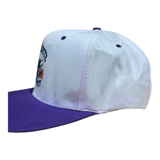 Charlotte Hornets Plain Logo SnapBack