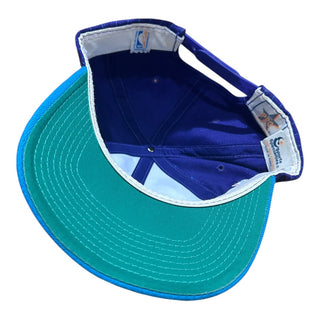 Charlotte Hornets Pinstripe Single Line Script Snapback