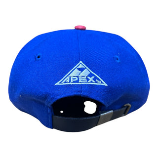 Apex One Brand Logo Strap Back