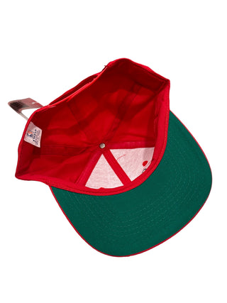 Bulls Plain Logo SnapBack