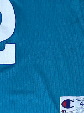 Charlotte Hornets Larry Johnson Jersey sz 44