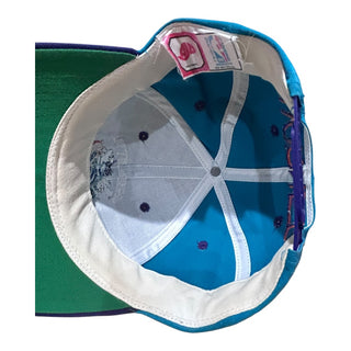 Charlotte Hornets Plain Logo Back Text Snapback