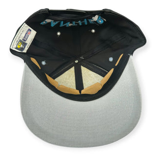 Carolina Panthers SnapBack Hat