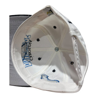 Carolina Panthers Spellout Logo Snapback