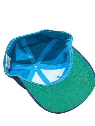 Charlotte Hornets SnapBack