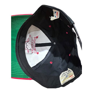 Chicago Bulls Plain Logo Snapback
