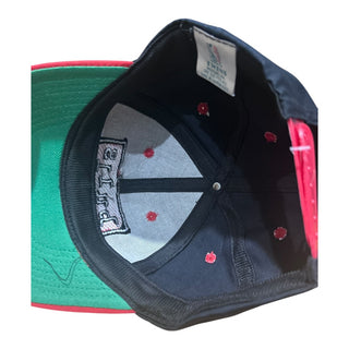 Chicago Bulls PopArt Snapback