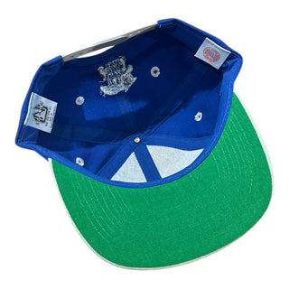 90s Kentucky Wildcats SnapBack
