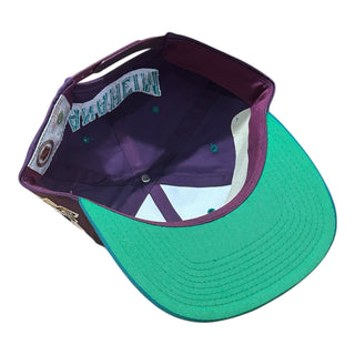 90s Mighty Ducks Wave SnapBack