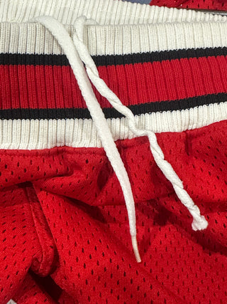 90s Chicago Bulls Authentic Shorts size 32/Small