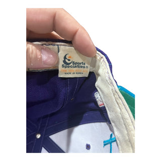 Charlotte Hornets Pinstripe Single Line Script Snapback