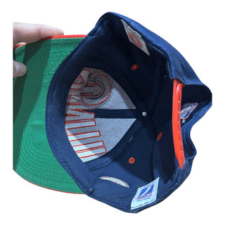 Illinois Ilinni Big Spellout Snapback