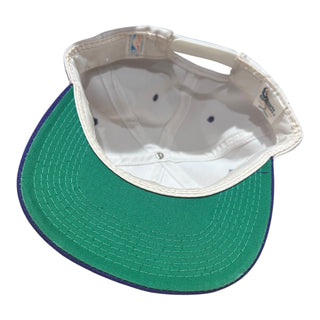 Dallas Cowboys Splash Snapback