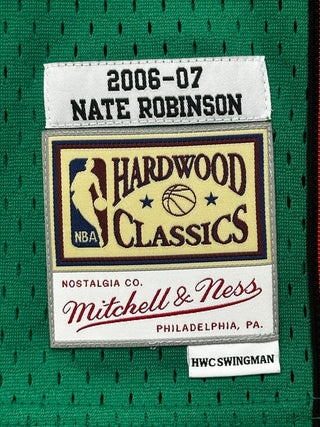 Youth M (10-12) Nate Robinson Jersey