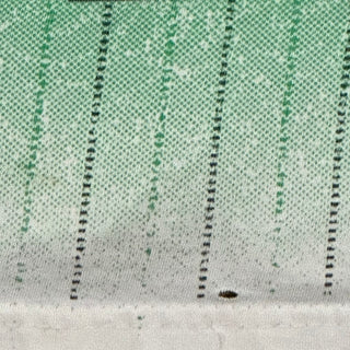 SV Werder Bremen Breakthrough Tshirt Sz L (356)