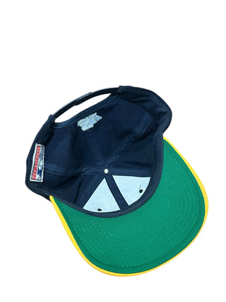 Notre Dame Tailsweep Snapback