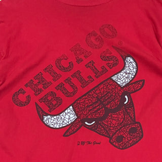 Chicago Bulls Logo Tshirt Sz XL