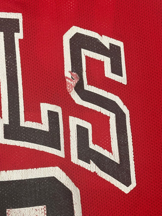 Chicago Bulls Michael Jordan Jersey sz 48 (MJE14)