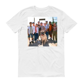 New Sandlot Design