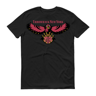 Throwback Hawks Design