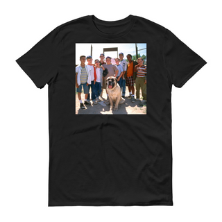 New Sandlot Design